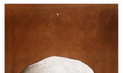 Featured image of post 假人